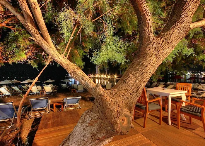 Meggs Bodrum Restaurant & Bed and breakfast
