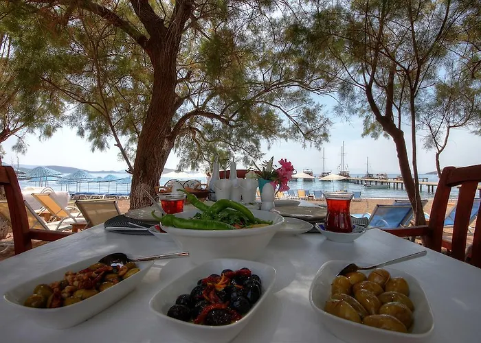 Meggs Bodrum Restaurant &
