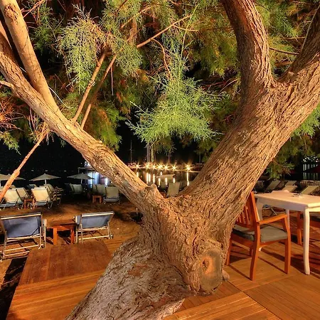 Meggs Bodrum Restaurant & Bed and breakfast