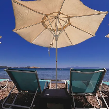 Meggs Bodrum Restaurant & 3* Ortakentyahşi